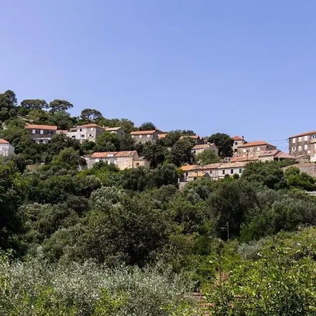 Desa Babino Zlato Apartamento Goveđari